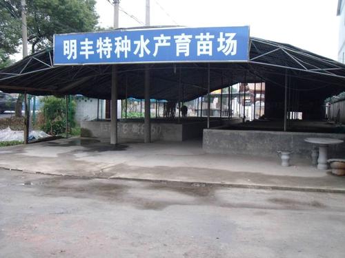 2021年日历全年表 (2021年全部电视剧)